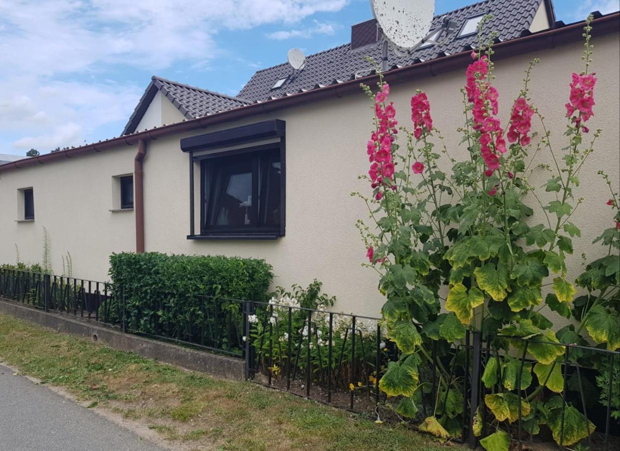 Ferienhaus An Der Ostsee Rerik Eksteriør billede